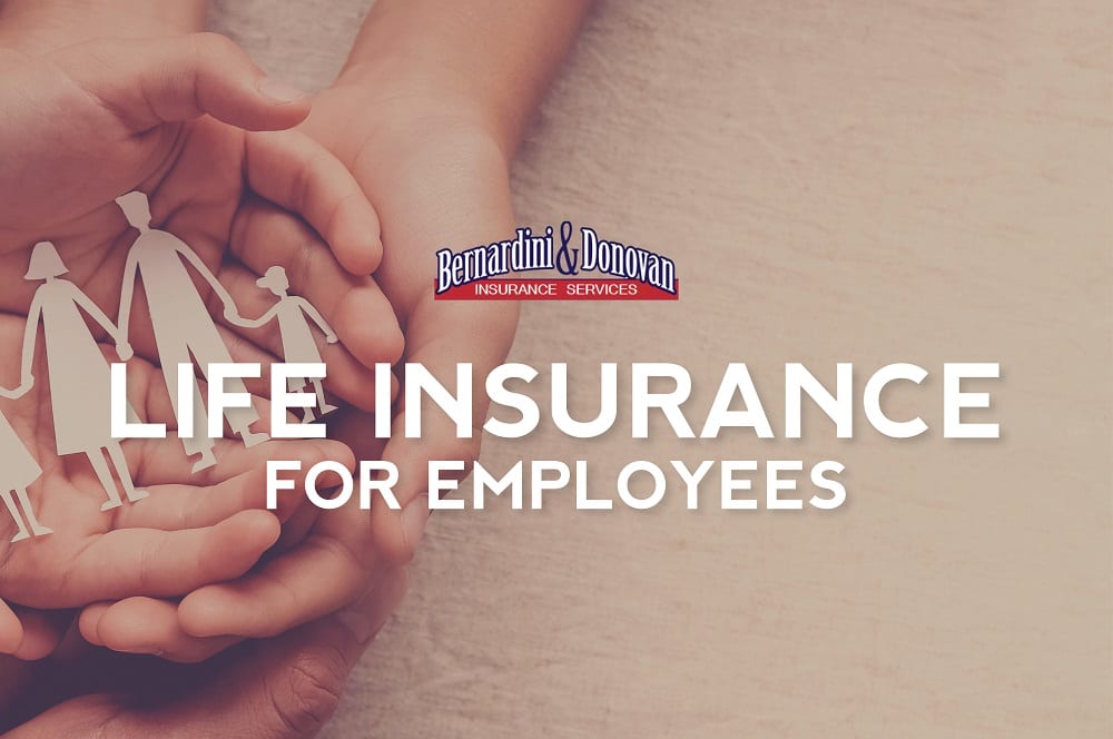 Employee Life Insurance Bernardini Donovan